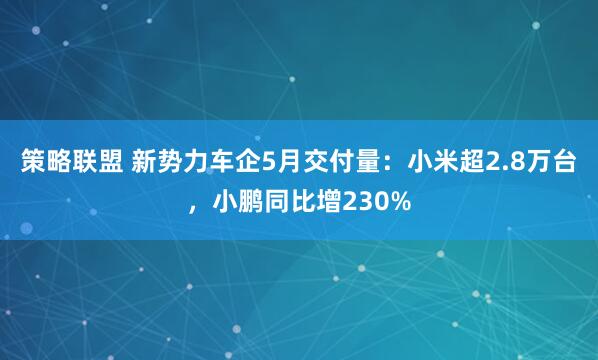 策略联盟 新势力车企5月交付量：小米超2.8万台，小鹏同比增230%
