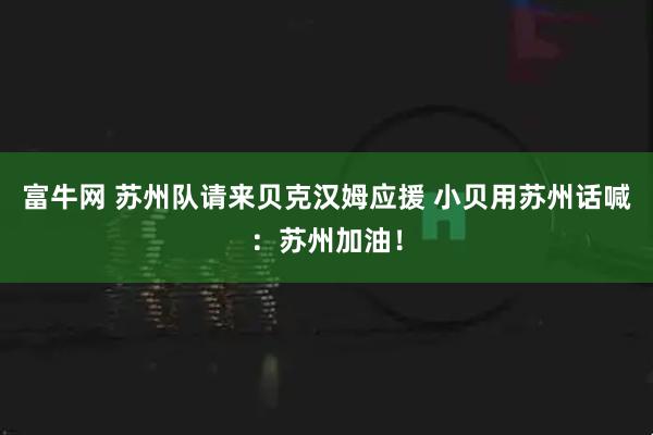 富牛网 苏州队请来贝克汉姆应援 小贝用苏州话喊：苏州加油！