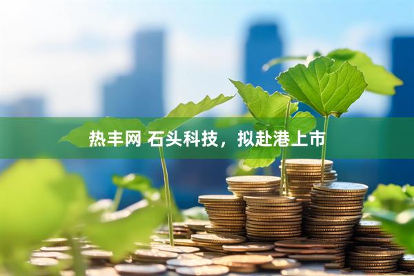 热丰网 石头科技，拟赴港上市