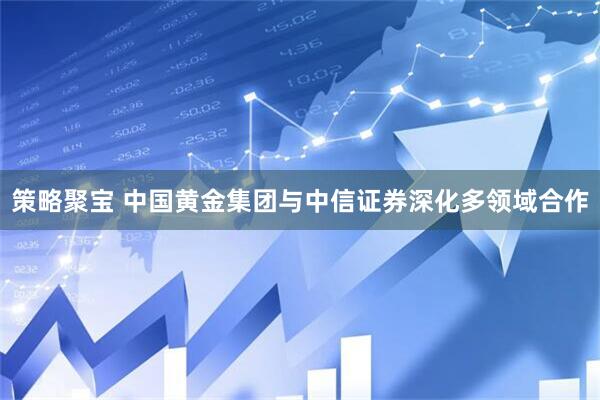 策略聚宝 中国黄金集团与中信证券深化多领域合作