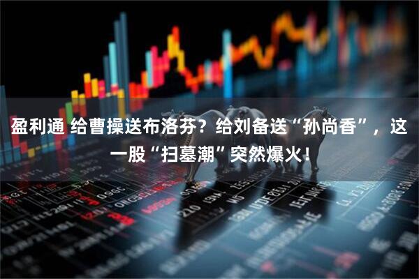 盈利通 给曹操送布洛芬？给刘备送“孙尚香”，这一股“扫墓潮”突然爆火！