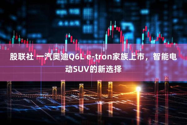 股联社 一汽奥迪Q6L e-tron家族上市，智能电动SUV的新选择