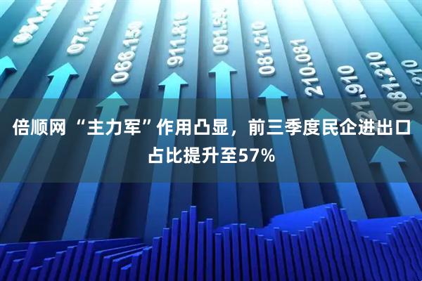 倍顺网 “主力军”作用凸显，前三季度民企进出口占比提升至57%